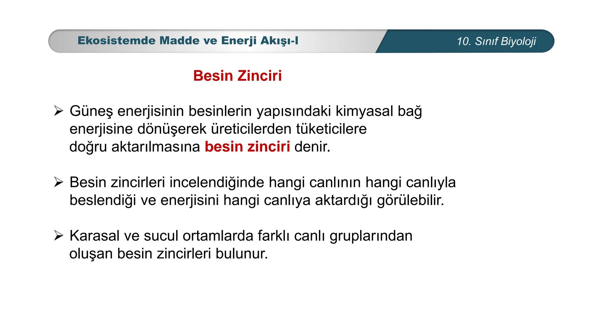 *
*
ETI MILLI EĞİ
CUMHURİYET
TIM BAKANLIGI
BİYOLOJİ
10. SINIF
Ekosistem Ekolojisi ve Güncel Çevre Sorunları
Ekosistemde Madde ve Enerji Akış