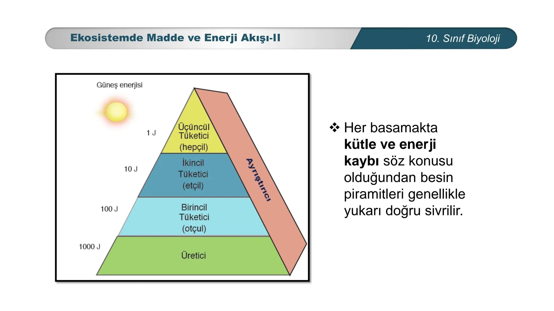 *
*
ETI MILLI EĞ
CUMHURİYET
TIM BAKANLIĞI
BİYOLOJİ
10. SINIF
Ekosistem Ekolojisi ve Güncel Çevre Sorunları
Ekosistemde Madde ve Enerji Akışı
