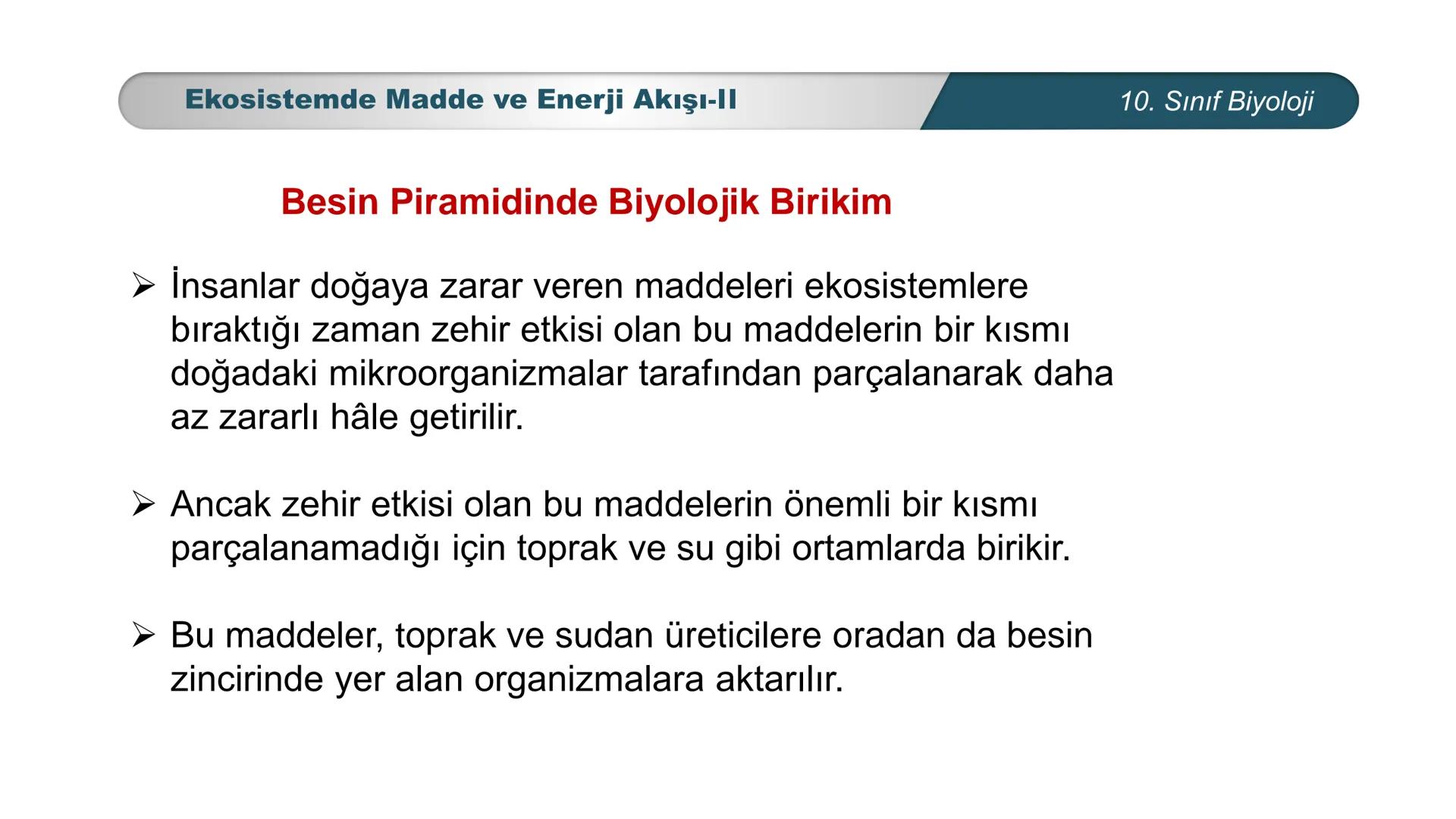 *
*
ETI MILLI EĞ
CUMHURİYET
TIM BAKANLIĞI
BİYOLOJİ
10. SINIF
Ekosistem Ekolojisi ve Güncel Çevre Sorunları
Ekosistemde Madde ve Enerji Akışı