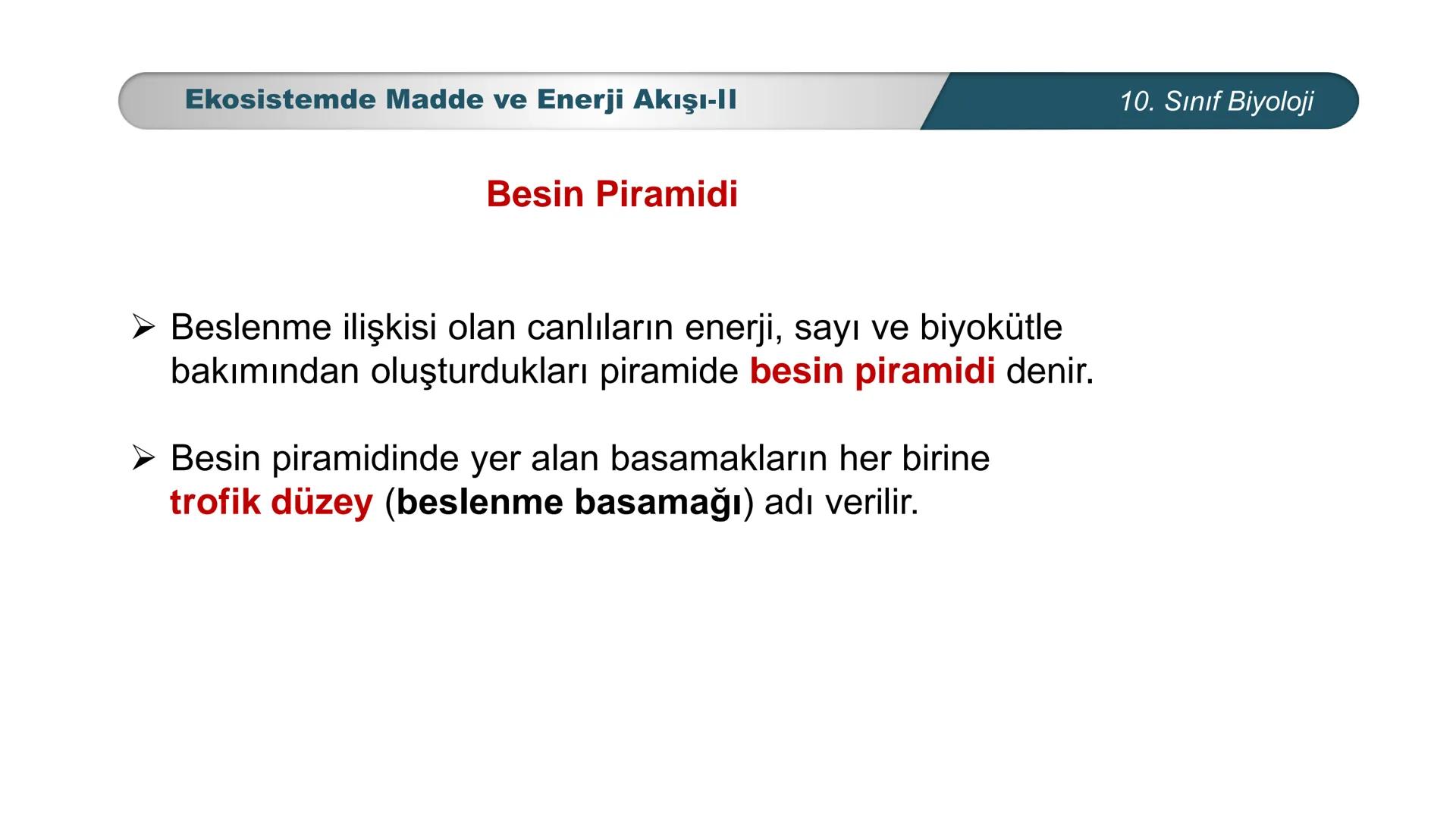 *
*
ETI MILLI EĞ
CUMHURİYET
TIM BAKANLIĞI
BİYOLOJİ
10. SINIF
Ekosistem Ekolojisi ve Güncel Çevre Sorunları
Ekosistemde Madde ve Enerji Akışı
