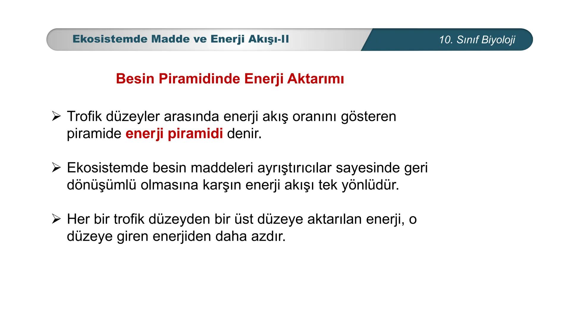 *
*
ETI MILLI EĞ
CUMHURİYET
TIM BAKANLIĞI
BİYOLOJİ
10. SINIF
Ekosistem Ekolojisi ve Güncel Çevre Sorunları
Ekosistemde Madde ve Enerji Akışı