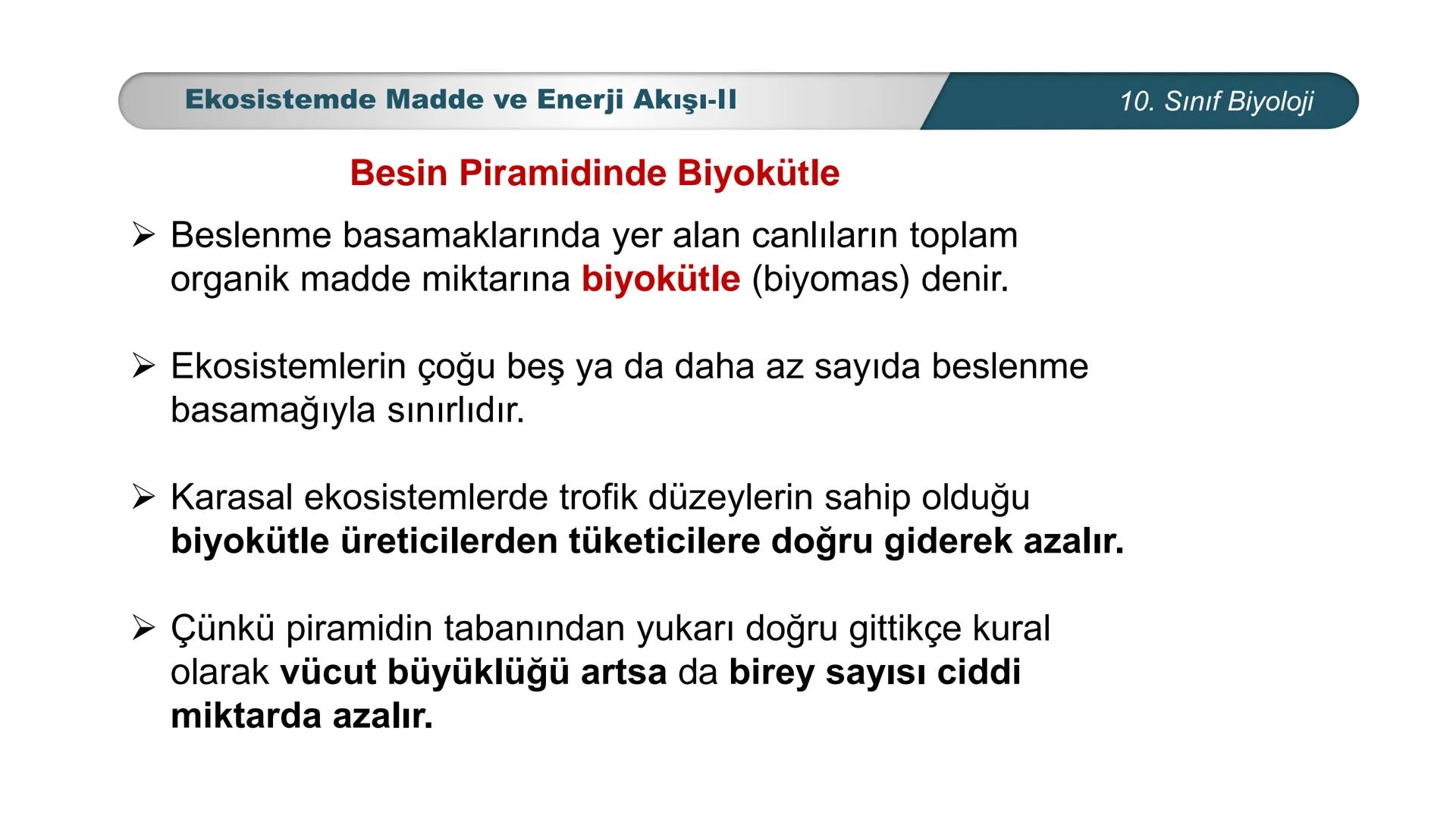 *
*
ETI MILLI EĞ
CUMHURİYET
TIM BAKANLIĞI
BİYOLOJİ
10. SINIF
Ekosistem Ekolojisi ve Güncel Çevre Sorunları
Ekosistemde Madde ve Enerji Akışı