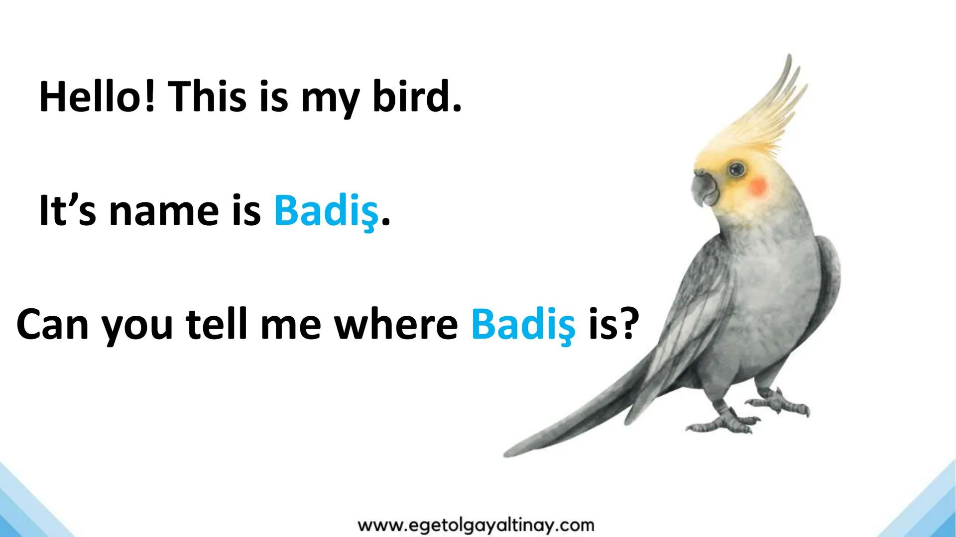 ΤΑ 400
UNIT 8: BOOKWORMS
2
@etateacher
2
PREPARED BY:
Ege Tolgay ALTINAY
Akköprü Secondary School
www.egetolgayaltinay.com
2
KODAK PORTA 400