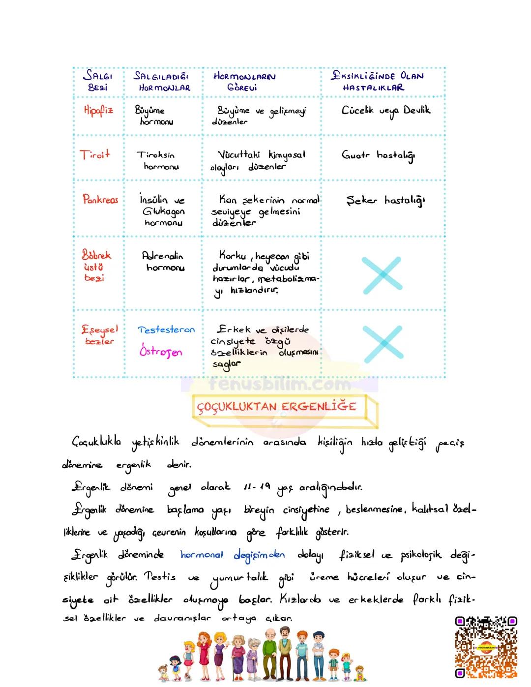 DENETLEYİCİ VE DÜZENLEYİCİ
SİSTEMLER
Vücudumuzda farklı yapı ve görev üstleren sistemlerin bir bütünlük
içinde, birbirleriyle uyumlu şekilde