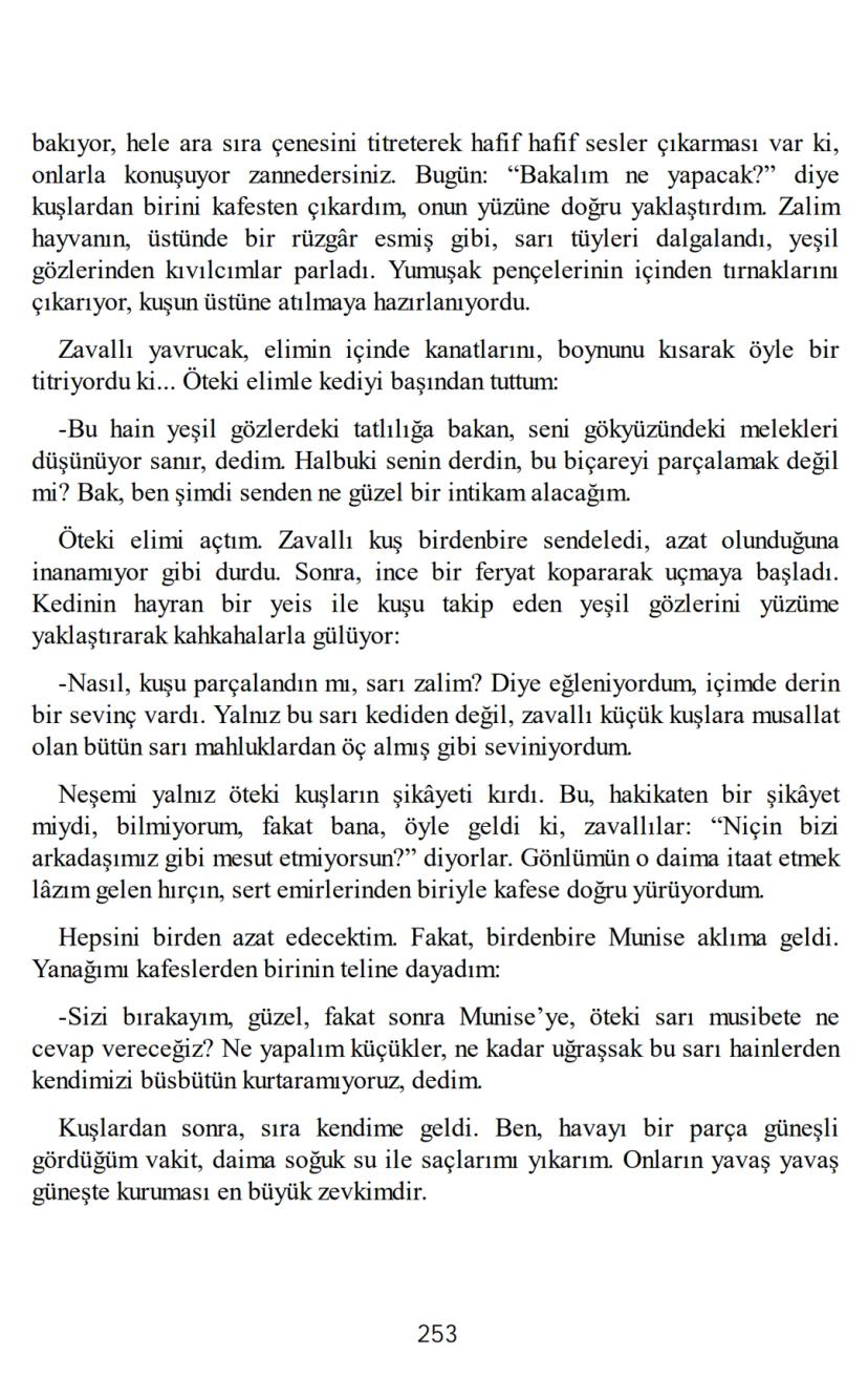 Page 255