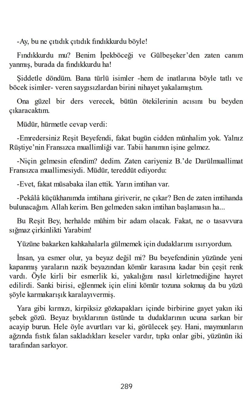 Page 291