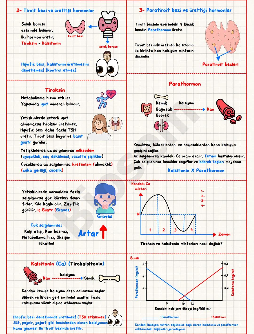 ## Endokrin (Hormonal) Sistem
Hormon; bir sinyali bir
hücreden diğerine taşıyan
kimyasal mesajlardır.
Bez; salgı üreten organ.
Kana salgı
