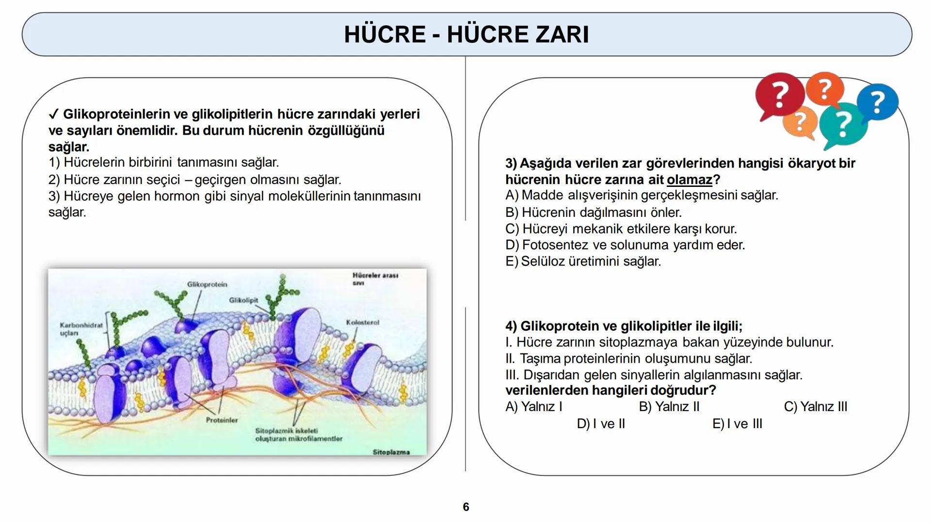 # HÜCRE
HÜCRE ZARI - HÜCRE ÇEPERİ HÜCRE
HÜCRELERİN KARŞILAŞTIRILMASI
Hücreler çekirdeklerinin olup olmamasına bakılarak ikiye ayrılır.
1) P