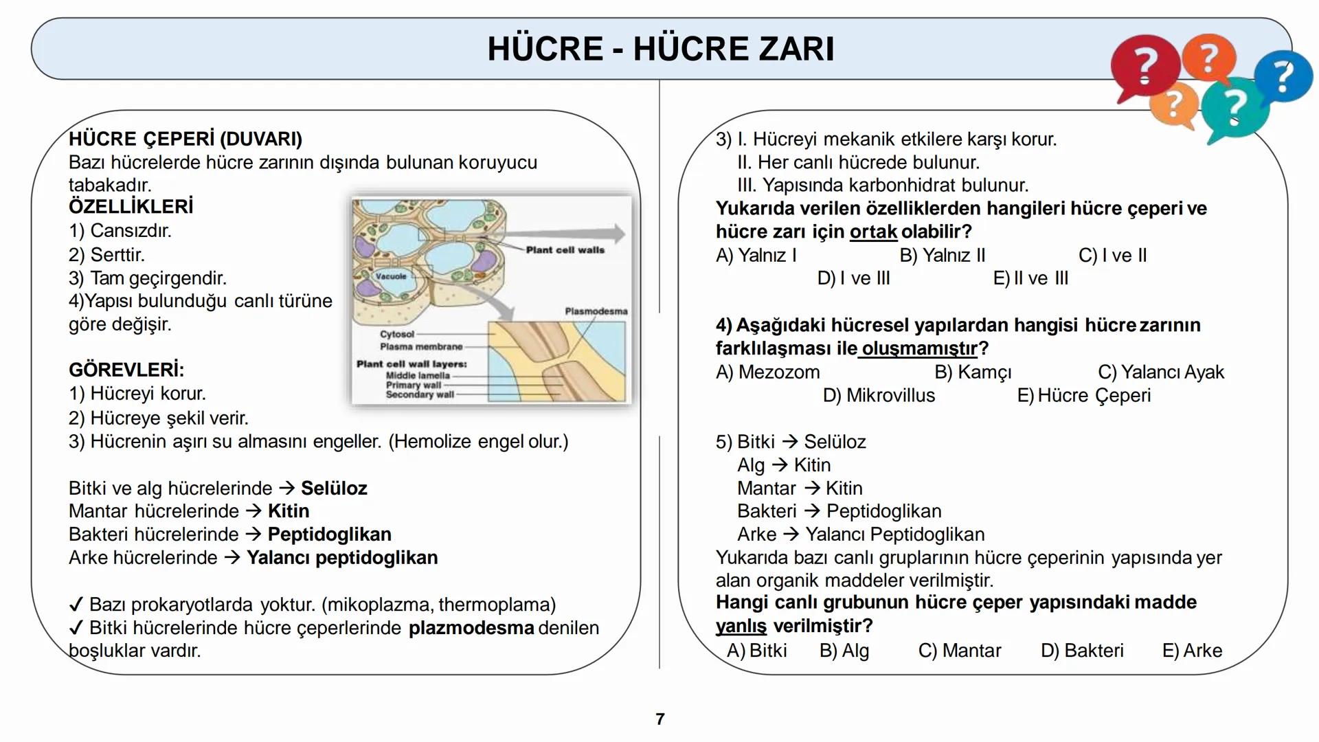 # HÜCRE
HÜCRE ZARI - HÜCRE ÇEPERİ HÜCRE
HÜCRELERİN KARŞILAŞTIRILMASI
Hücreler çekirdeklerinin olup olmamasına bakılarak ikiye ayrılır.
1) P