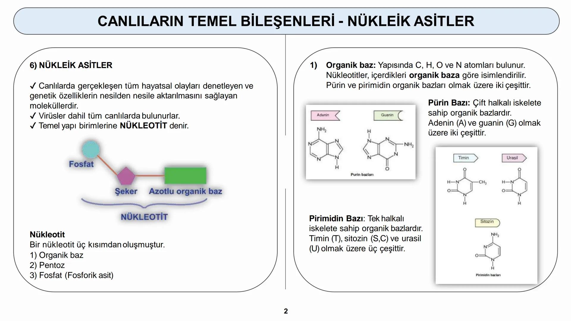 # CANLILARIN TEMEL BİLEŞENLERİ
ORGANİK MADDELER – NÜKLEİK ASİTLER --- OCR Start ---
CANLILARIN TEMEL BİLEŞENLERİ - NÜKLEİK ASİTLER
6) NÜKLE