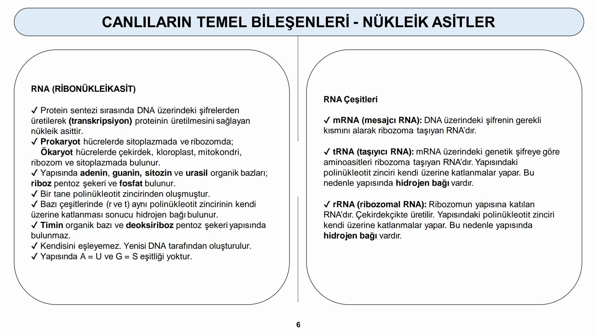 # CANLILARIN TEMEL BİLEŞENLERİ
ORGANİK MADDELER – NÜKLEİK ASİTLER --- OCR Start ---
CANLILARIN TEMEL BİLEŞENLERİ - NÜKLEİK ASİTLER
6) NÜKLE