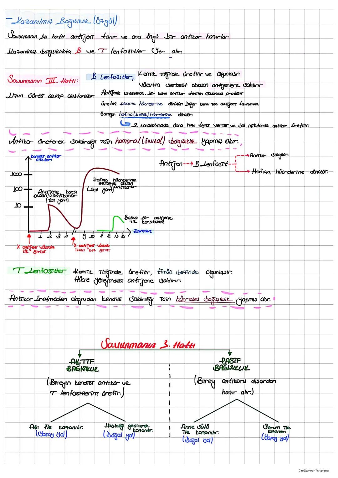 # baģışıklık sistemi
+ Vücudumuzu hastalık yapıcılara karşı koruyan sistemdir.
Bu koruma iki şekilde sağlanır.
## BAĞIŞIKLIK
### Doğal Ba