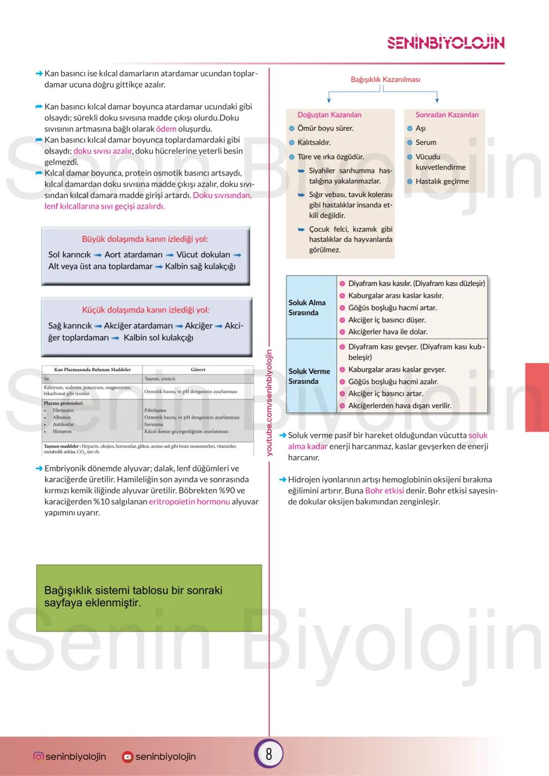 # SENİN BİYOLOJİN
Bu döküman hazırlanırken MEB kitabı kaynak alınmıştır ve çok karıştırılan yerlere özellikle değinilmiştir. Dökümanın yara