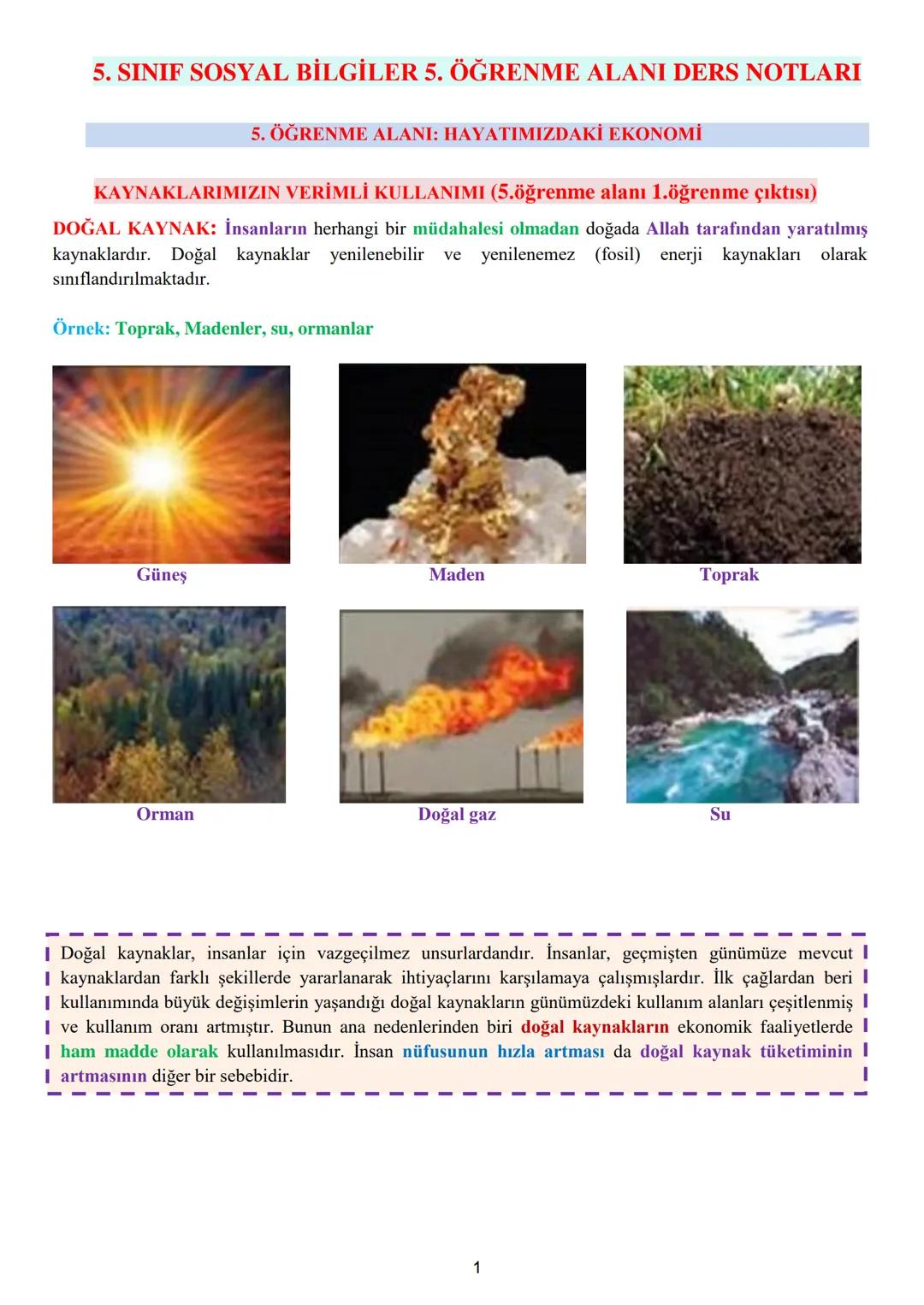 Sosyal Bilgiler Ders Notları