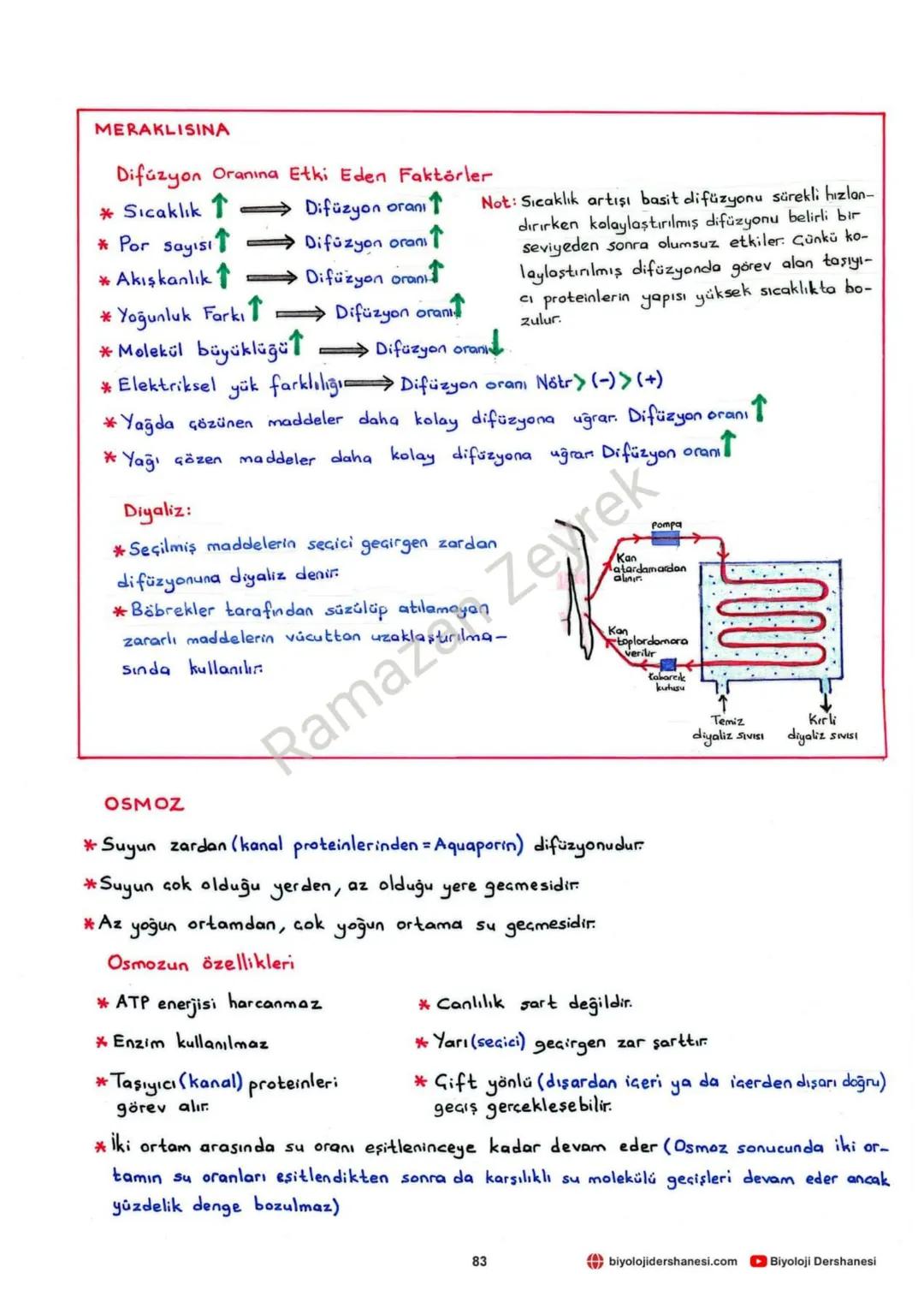 Fosfat
grubu
(Hidrofil)
HÜCRE ZARI VE MADDE GEÇİŞLERİ
Glikolipit
→Glikoprotein
Yağ
asitleri
(Hidrofob)
Fosfat
grubu
(Hidrofil)
yüzey
Protein
