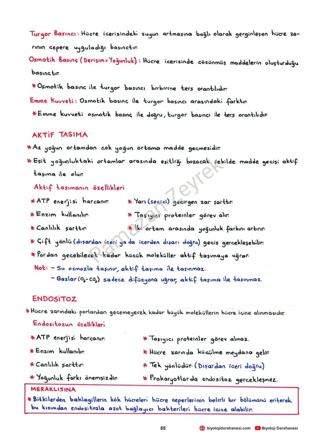 Fosfat
grubu
(Hidrofil)
HÜCRE ZARI VE MADDE GEÇİŞLERİ
Glikolipit
→Glikoprotein
Yağ
asitleri
(Hidrofob)
Fosfat
grubu
(Hidrofil)
yüzey
Protein