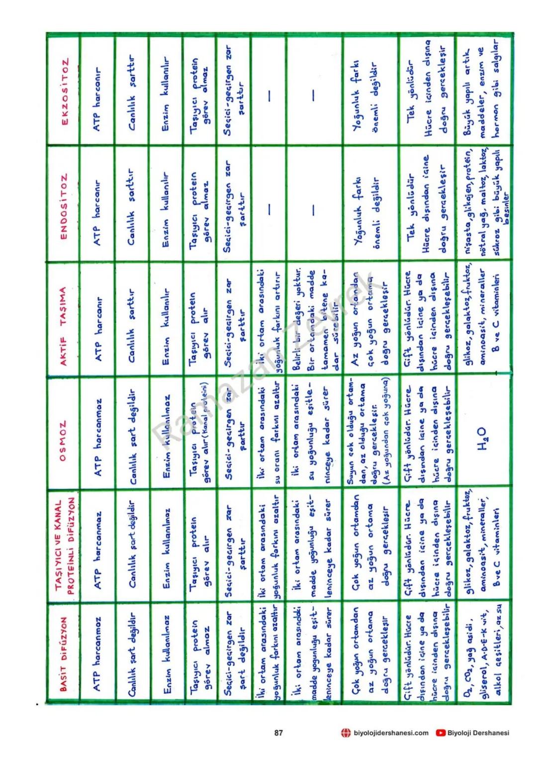 Fosfat
grubu
(Hidrofil)
HÜCRE ZARI VE MADDE GEÇİŞLERİ
Glikolipit
→Glikoprotein
Yağ
asitleri
(Hidrofob)
Fosfat
grubu
(Hidrofil)
yüzey
Protein