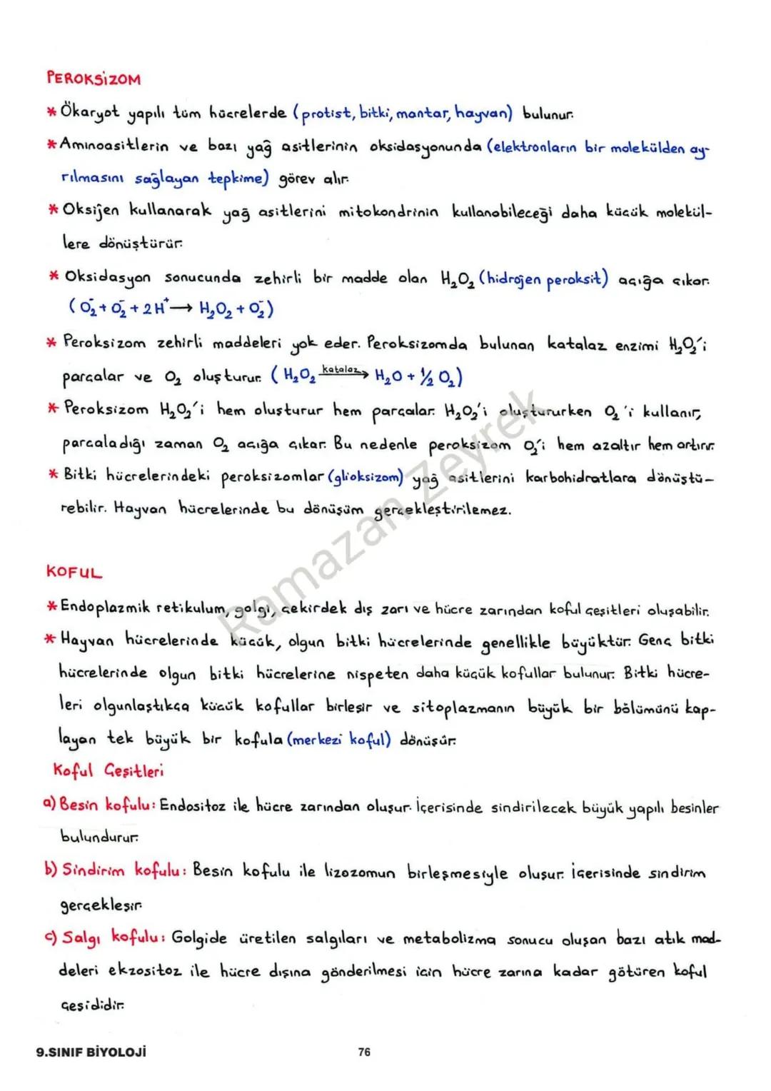 HÜCRE VE ALT BİRİMLERİ
* Canlının en küçük yapı ve görev birimine hücre denir.
* Hücreler işlevsel olarak benzerlik gösterse de yapısal olar