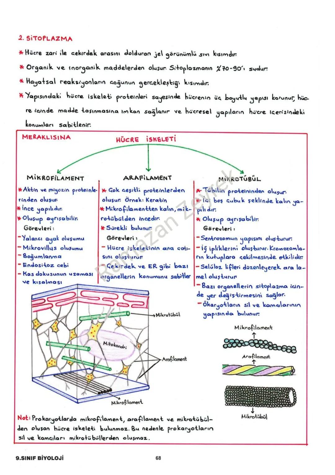 HÜCRE VE ALT BİRİMLERİ
* Canlının en küçük yapı ve görev birimine hücre denir.
* Hücreler işlevsel olarak benzerlik gösterse de yapısal olar