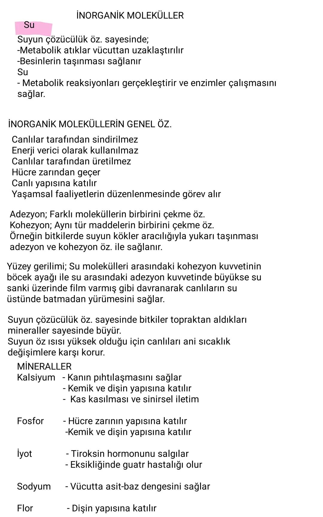 # İNORGANİK MOLEKÜLLER
## Su
Suyun çözücülük öz. sayesinde;
-Metabolik atıklar vücuttan uzaklaştırılır
-Besinlerin taşınması sağlanır
Su
-
