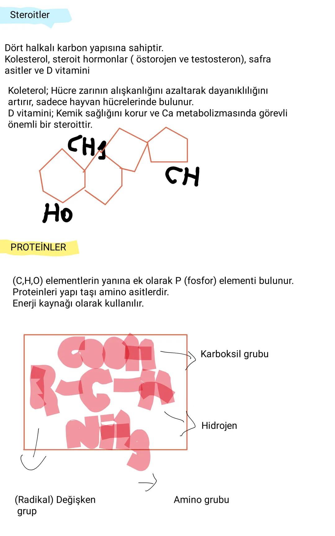 # İNORGANİK MOLEKÜLLER
## Su
Suyun çözücülük öz. sayesinde;
-Metabolik atıklar vücuttan uzaklaştırılır
-Besinlerin taşınması sağlanır
Su
-