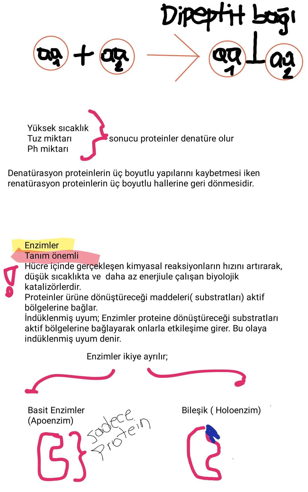 # İNORGANİK MOLEKÜLLER
## Su
Suyun çözücülük öz. sayesinde;
-Metabolik atıklar vücuttan uzaklaştırılır
-Besinlerin taşınması sağlanır
Su
-