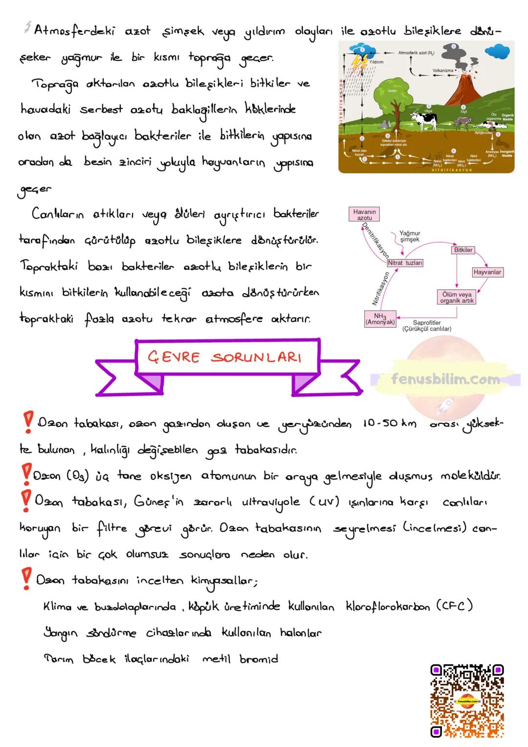 BESİN ZİNCİRİ VE ENERJİ AKIŞI
BESİN ZİNCİRİ
fenusbilim.com
Canlıların yaşamsal faaliyetlerini devam ettirebilmeleri için enerji ihtiyaç
ları