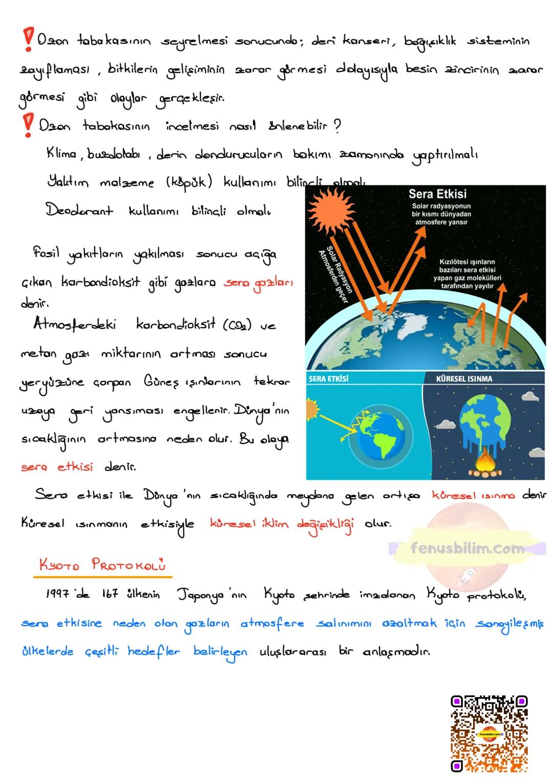 BESİN ZİNCİRİ VE ENERJİ AKIŞI
BESİN ZİNCİRİ
fenusbilim.com
Canlıların yaşamsal faaliyetlerini devam ettirebilmeleri için enerji ihtiyaç
ları