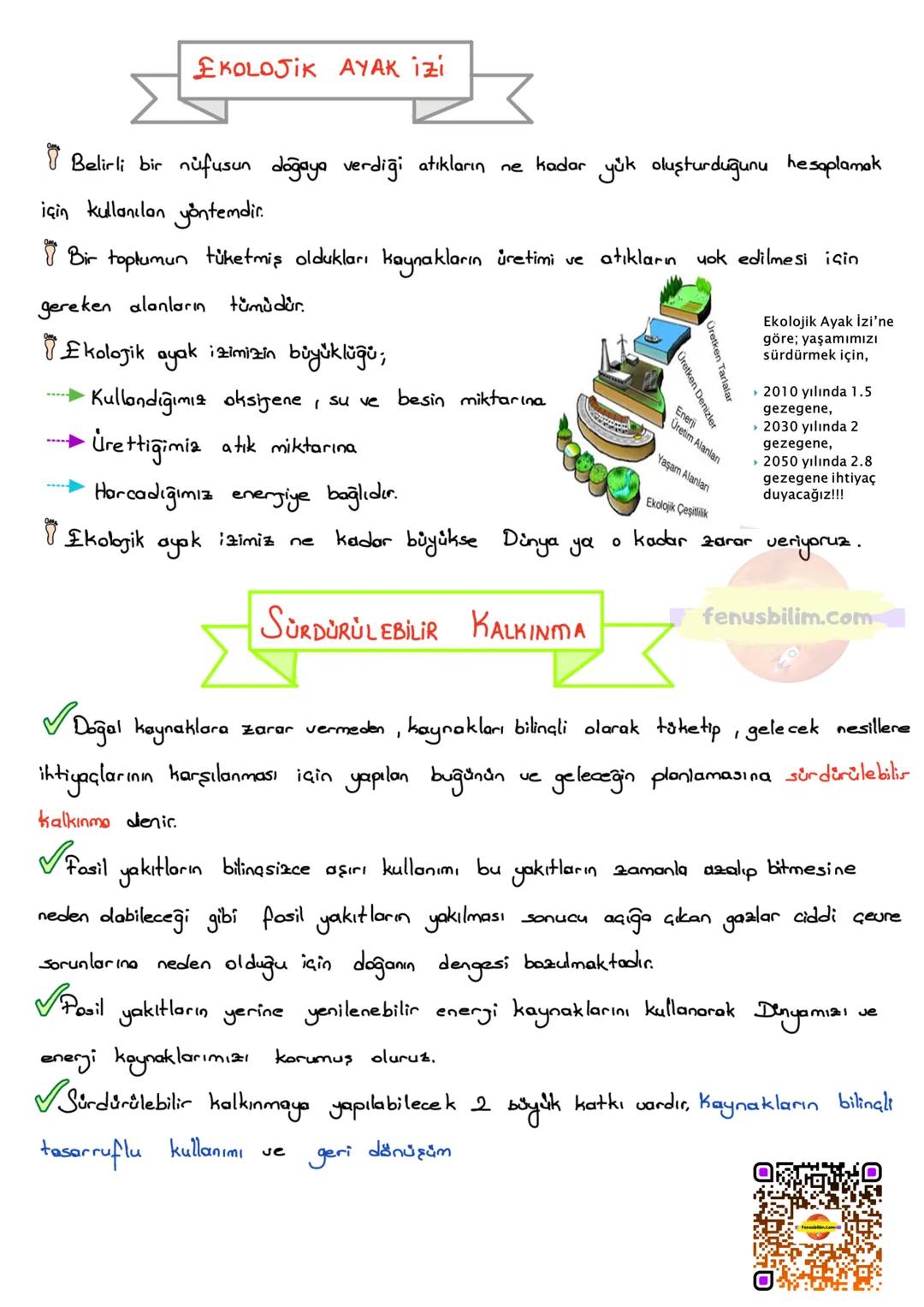 BESİN ZİNCİRİ VE ENERJİ AKIŞI
BESİN ZİNCİRİ
fenusbilim.com
Canlıların yaşamsal faaliyetlerini devam ettirebilmeleri için enerji ihtiyaç
ları