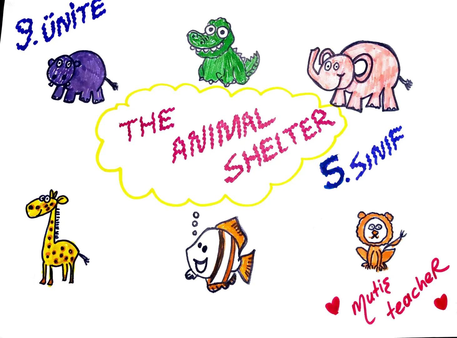 9. ünite
THE ANIMAL SHELTER 5. ünite
mutis teacher THE ANIMAL SHELTER
Ant:Karınca
Horse: At
Fish: Balık
Lion: Aslan
Dolphin: Yunus
Bee: Ar