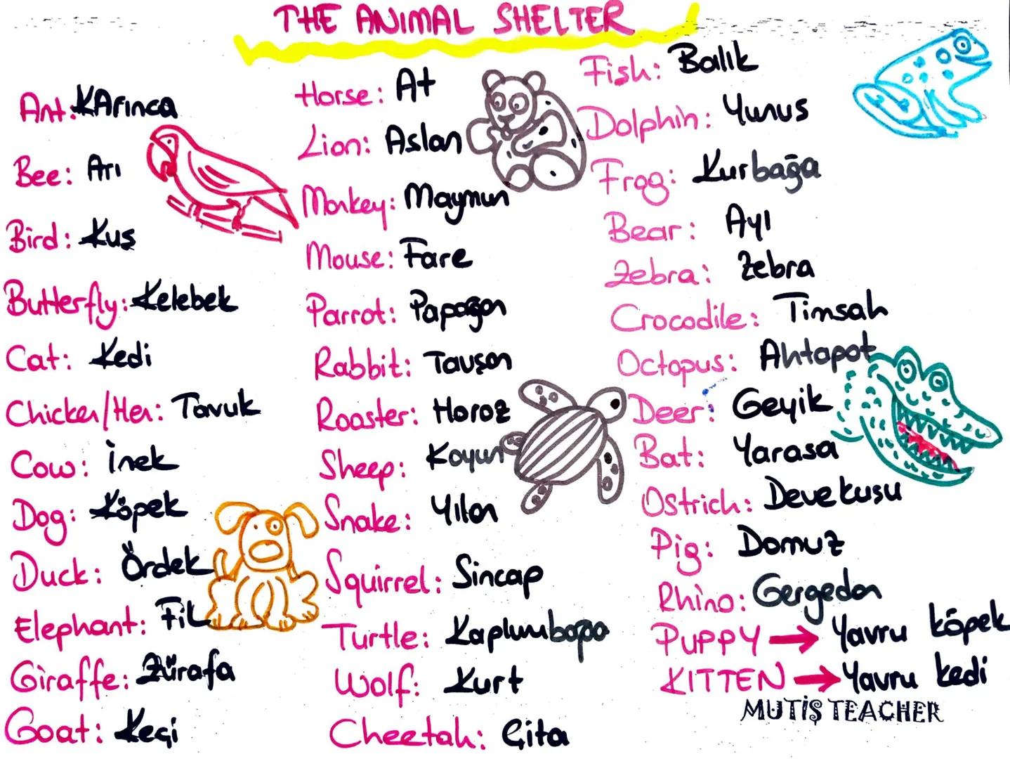 9. ünite
THE ANIMAL SHELTER 5. ünite
mutis teacher THE ANIMAL SHELTER
Ant:Karınca
Horse: At
Fish: Balık
Lion: Aslan
Dolphin: Yunus
Bee: Ar