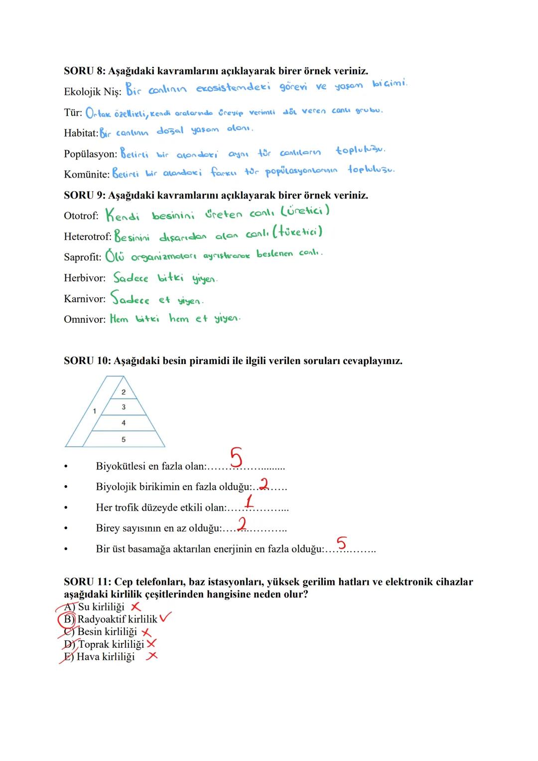 # SORU 1: Heterozigot B kan grubuna sahip bir anne ile AB kan grubuna sahip bir babadan dünyaya gelecek çocukların alyuvarlarında B antijeni