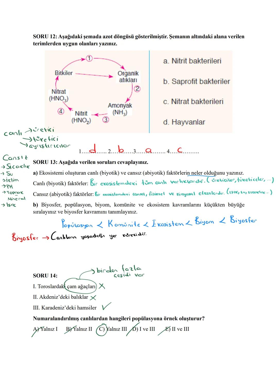 # SORU 1: Heterozigot B kan grubuna sahip bir anne ile AB kan grubuna sahip bir babadan dünyaya gelecek çocukların alyuvarlarında B antijeni