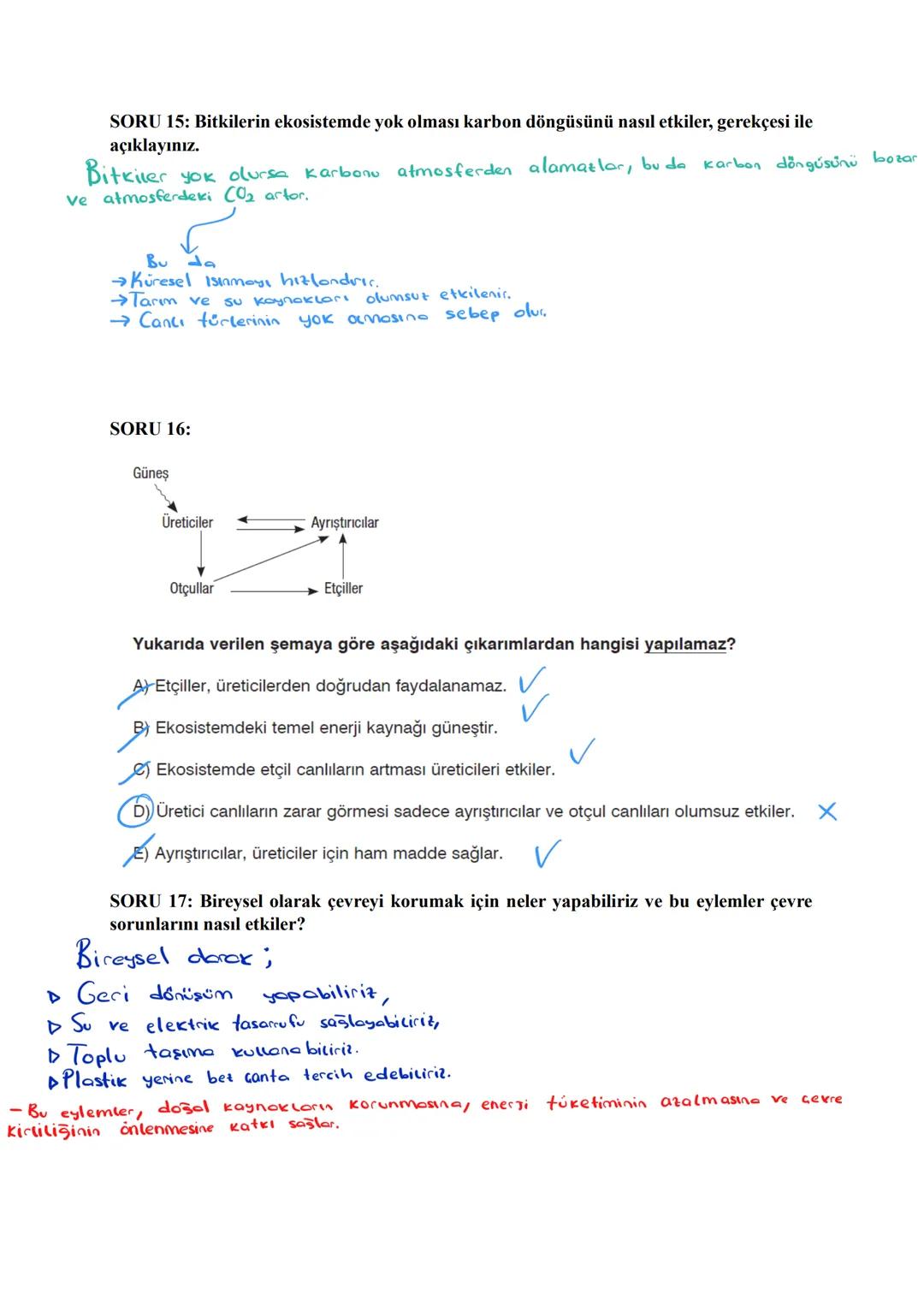 # SORU 1: Heterozigot B kan grubuna sahip bir anne ile AB kan grubuna sahip bir babadan dünyaya gelecek çocukların alyuvarlarında B antijeni