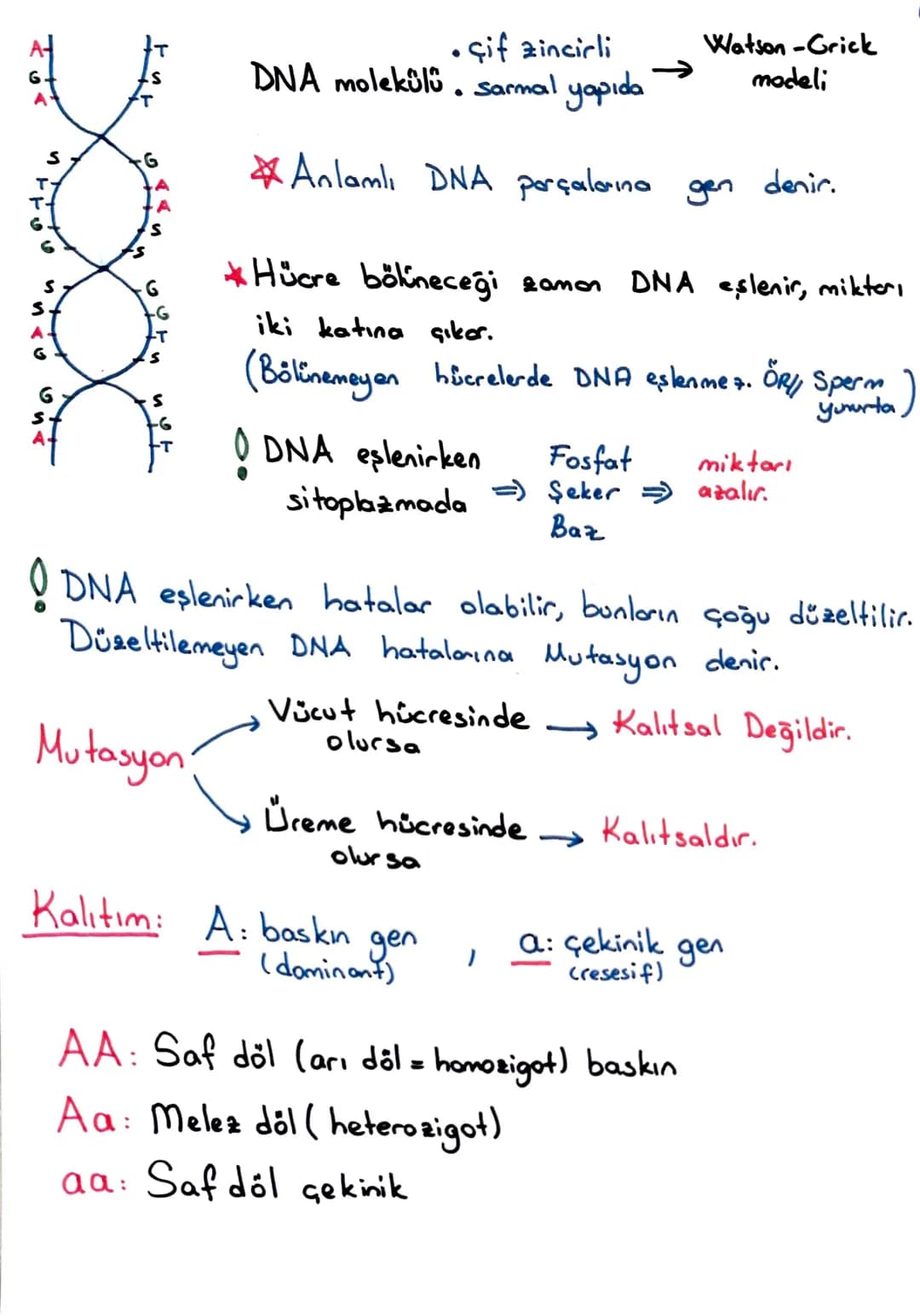 Tüm dersler 8 sinif – 40. sayfa
