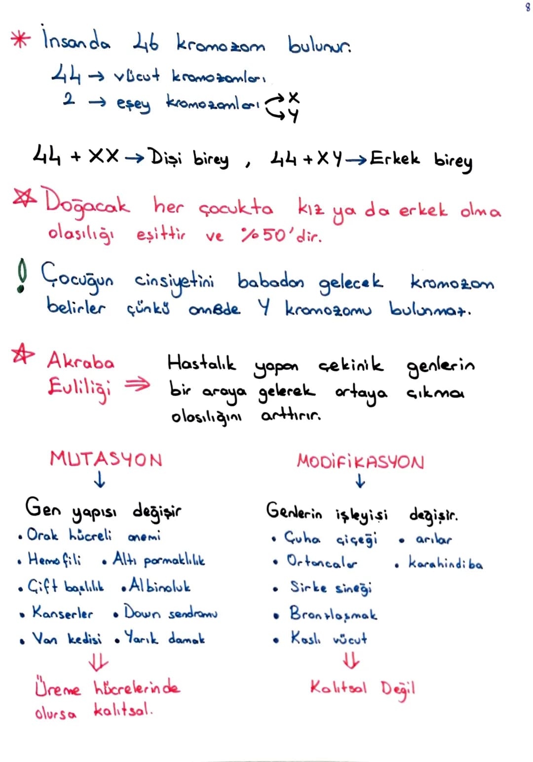 Tüm dersler 8 sinif – 42. sayfa