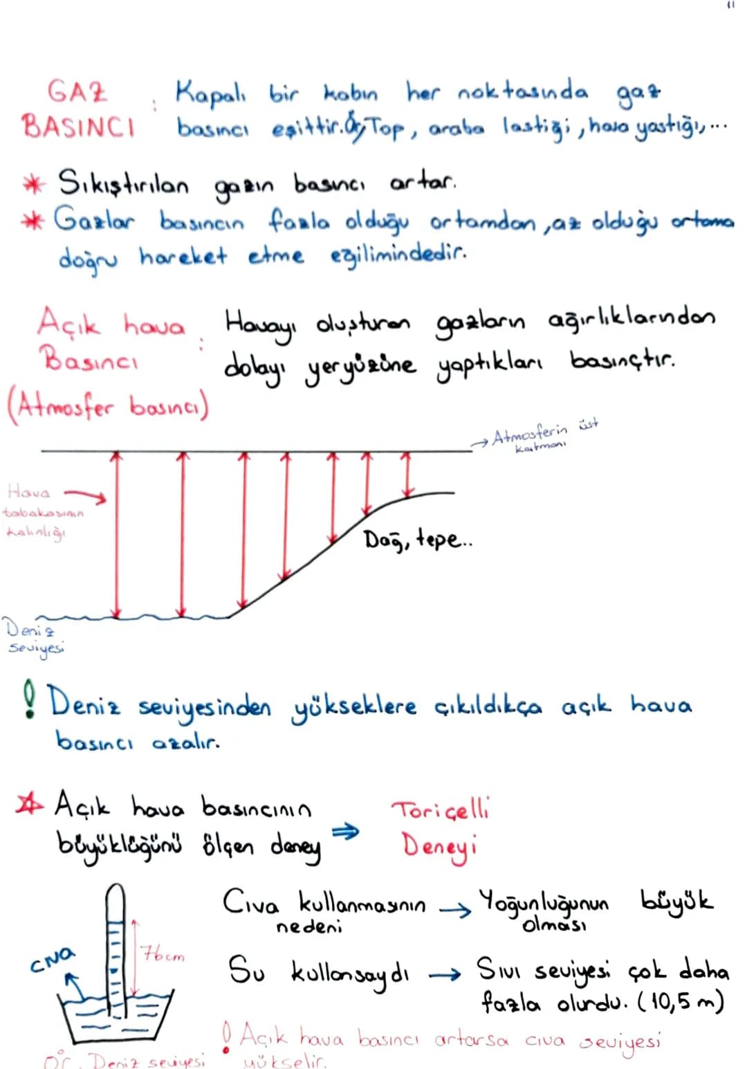 Tüm dersler 8 sinif – 48. sayfa