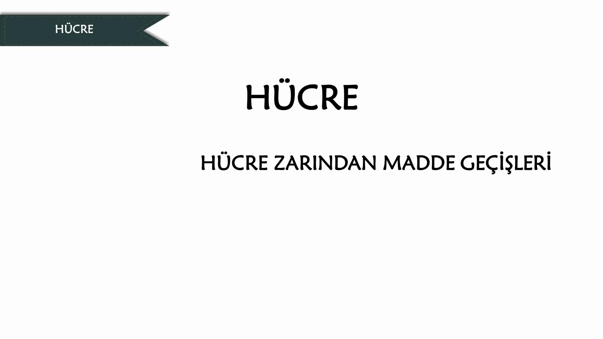# HÜCRE
HÜCRE ZARINDAN MADDE GEÇİŞLERİ HÜCRE ZARINDAN MADDE GEÇİŞLERİ
Hücre Zarından Madde Geçişleri
✓ Hücre zarı canlıdır ve seçici-geçirg