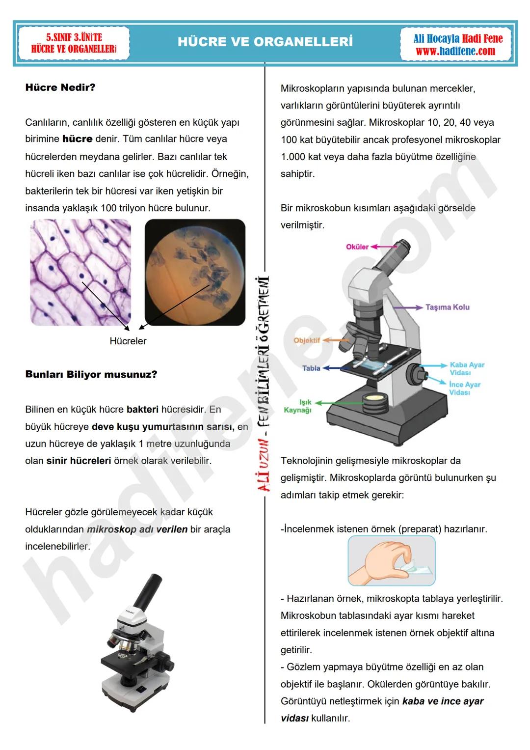 5.SINIF 3.ÜNİTE
HÜCRE VE ORGANELLERİ
HÜCRE VE ORGANELLERİ
Hücre Nedir?
Canlıların, canlılık özelliği gösteren en küçük yapı
birimine hücre d