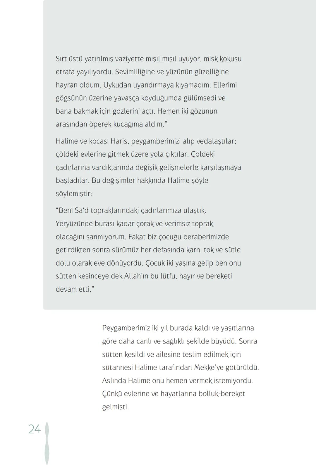 Hz Muhammedin hayatı – 24. sayfa