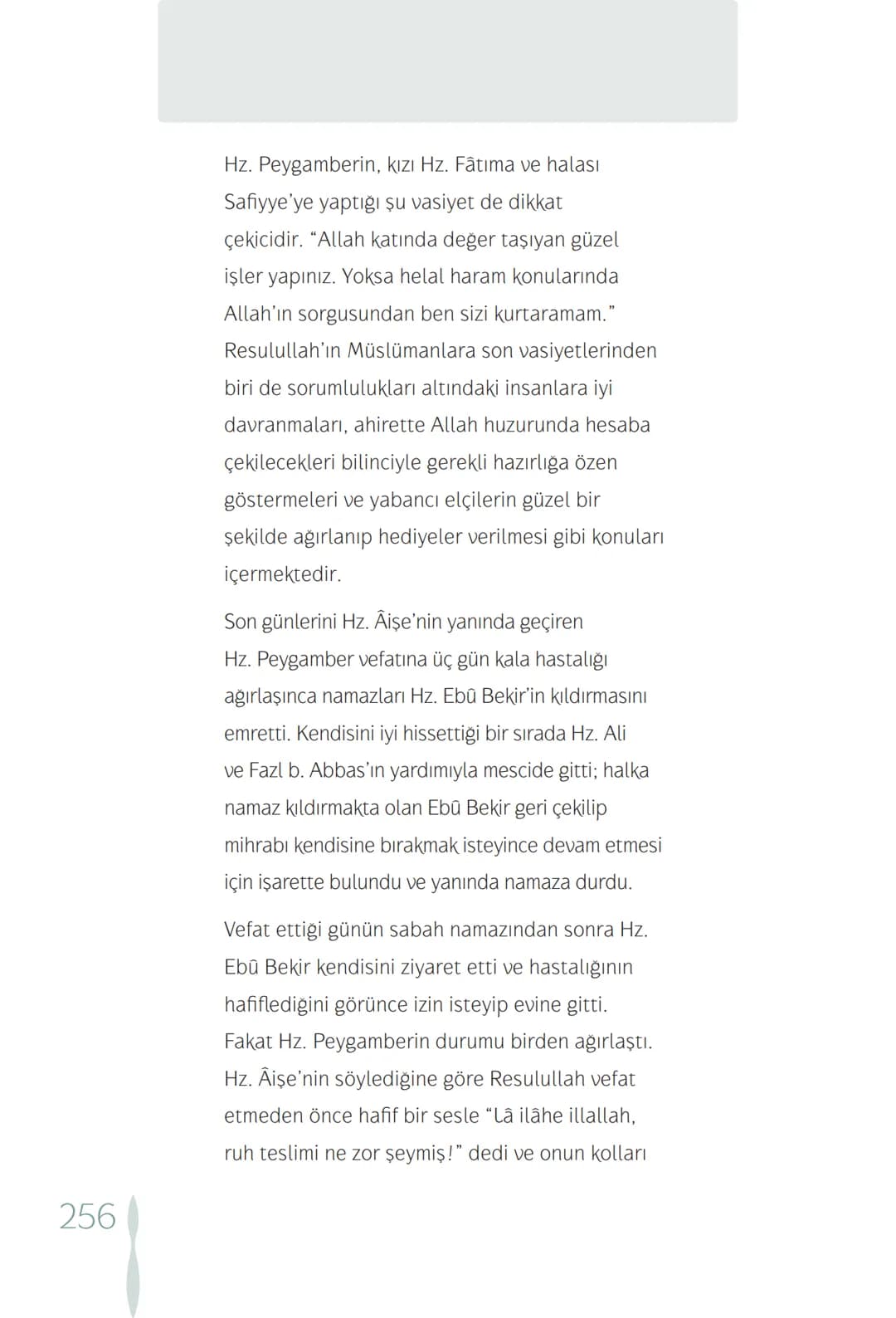 Hz Muhammedin hayatı – 256. sayfa