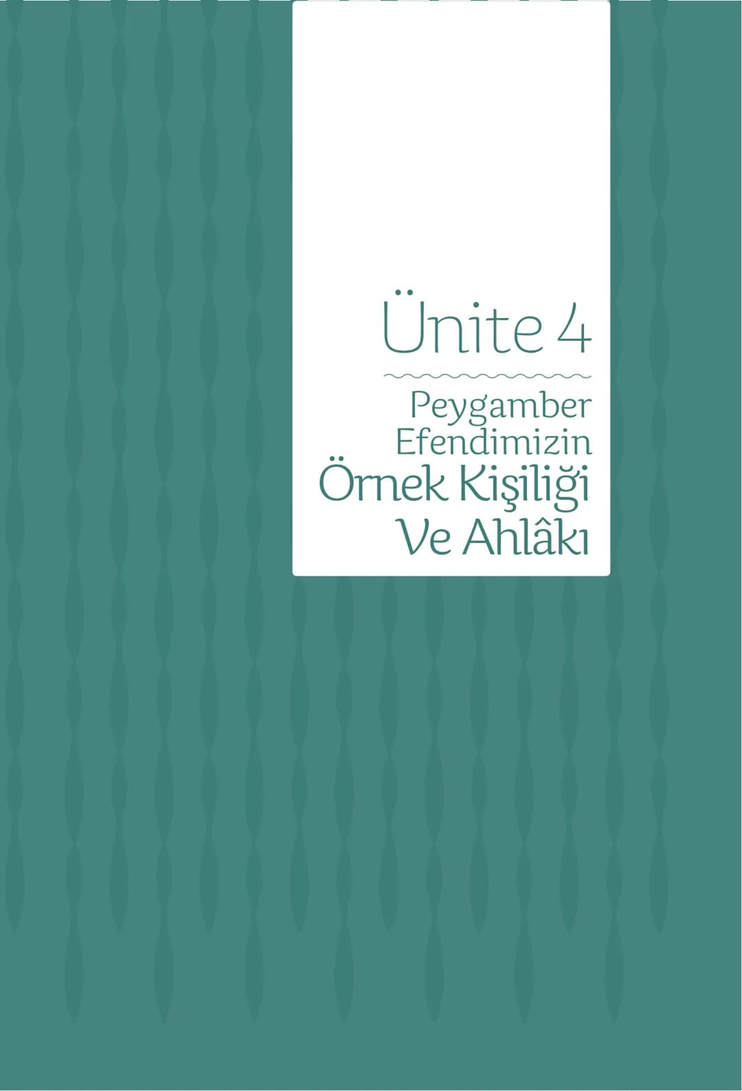 Hz Muhammedin hayatı – 273. sayfa