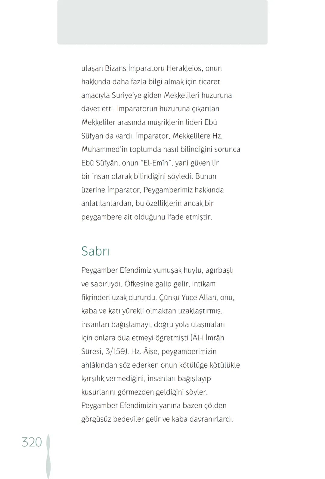 Hz Muhammedin hayatı – 320. sayfa