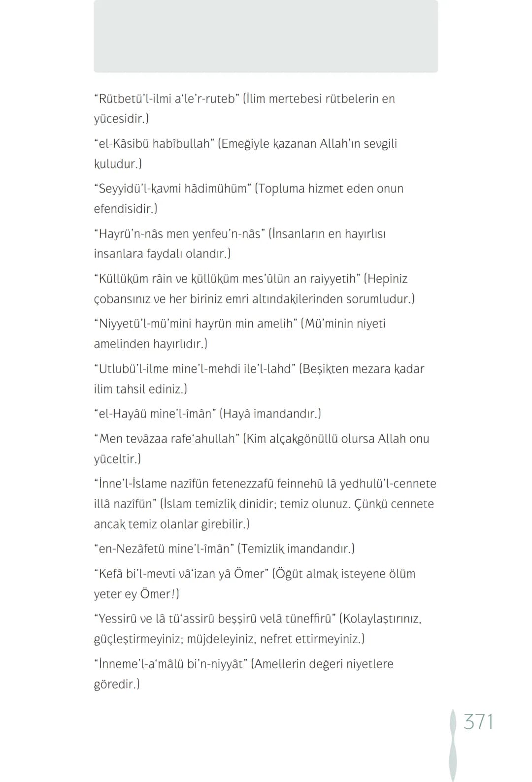 Hz Muhammedin hayatı – 371. sayfa