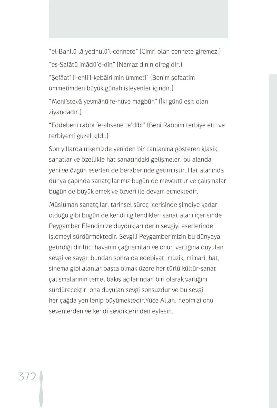 Hz Muhammedin hayatı – 372. sayfa