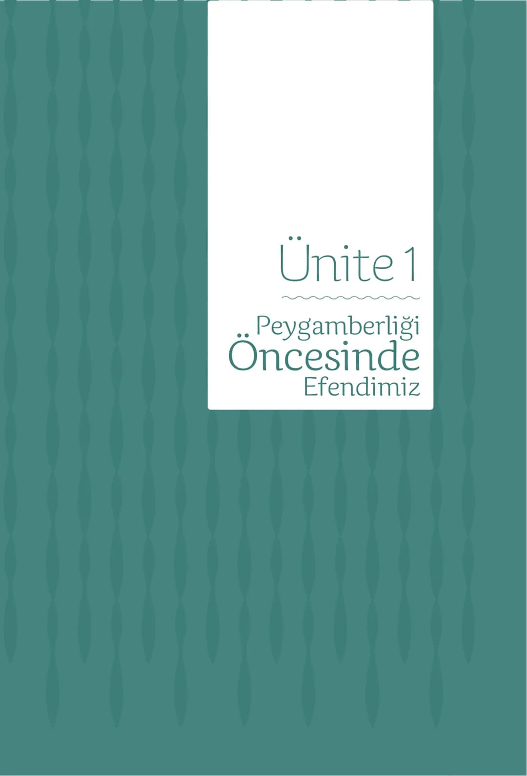 Hz Muhammedin hayatı – 7. sayfa