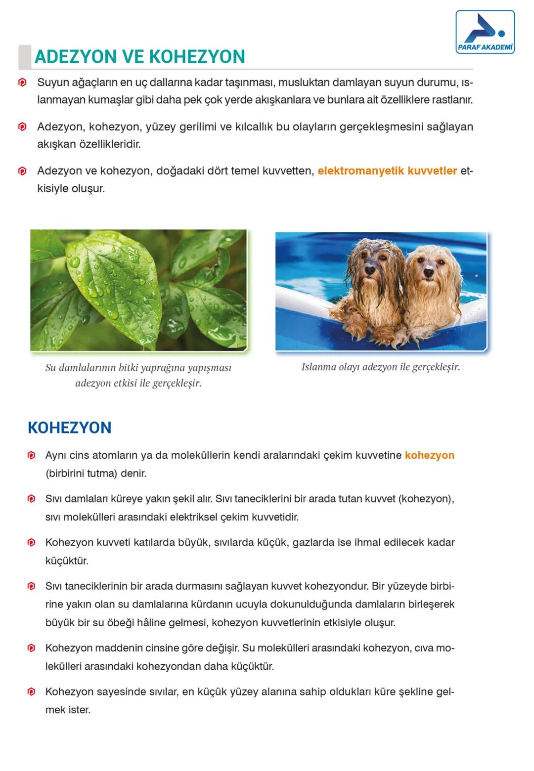 FİZİK
MADDE VE ÖZELLİKLERİ
4. Dayanıklılık - Adezyon ve Kohezyon
DAYANIKLILIK
KATILARDA DAYANIKLILIK
Katıların en önemli özelliklerinden bir