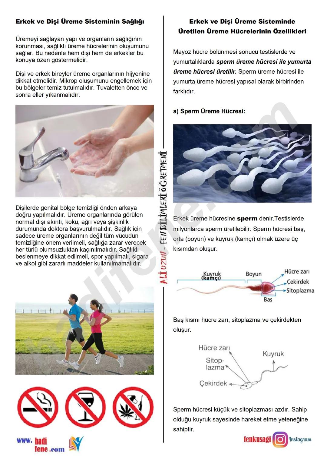 7.SINIF 1.ÜNİTE
GÜNEŞ SİSTEMİ VE ÖTESİ
UZAY ARAŞTIRMALARI
Ali Hocayla Hadi Fene
www.hadifene.com
UZAY TEKNOLOJİLERİ
Eski çağlardan günümüze