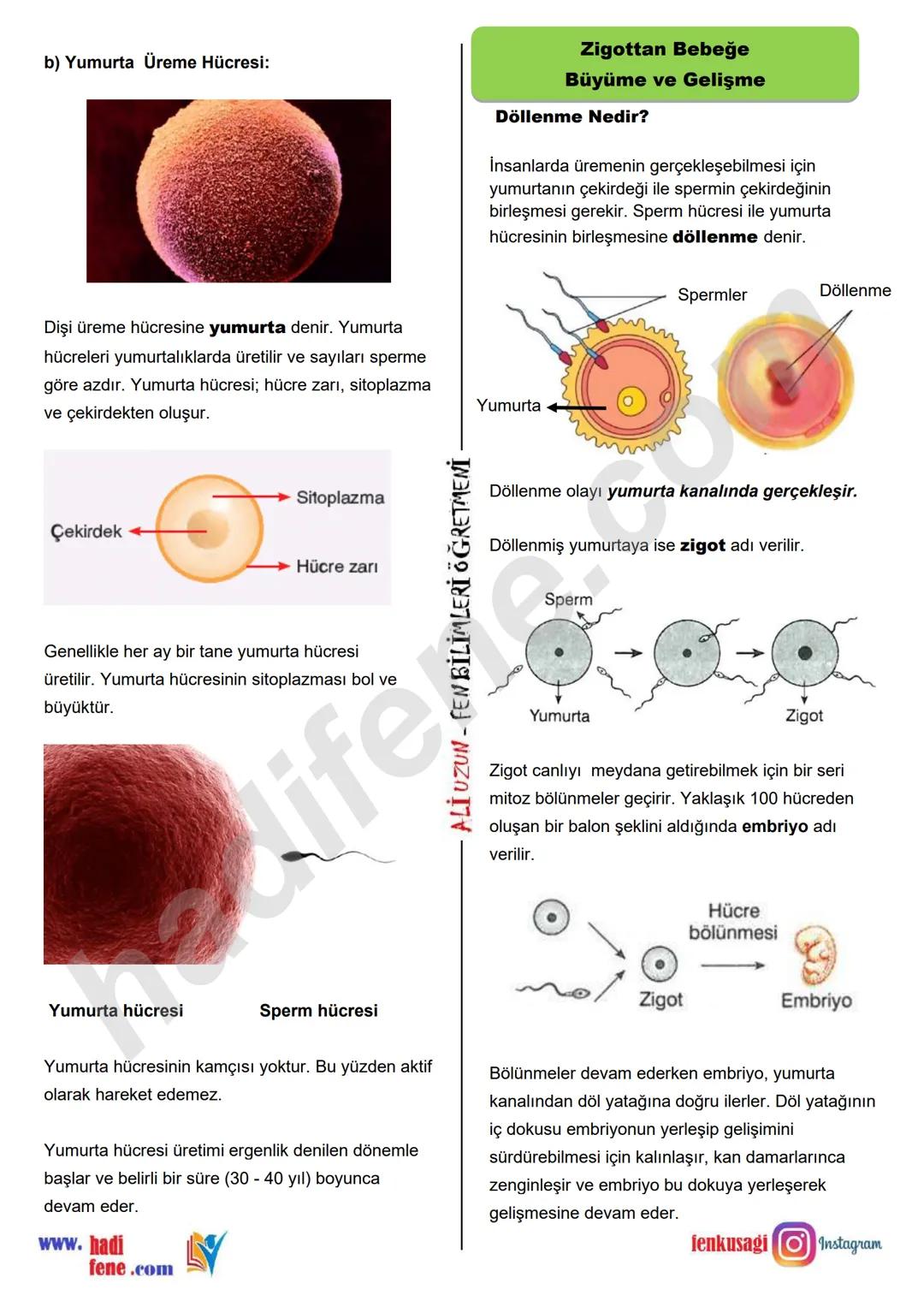 7.SINIF 1.ÜNİTE
GÜNEŞ SİSTEMİ VE ÖTESİ
UZAY ARAŞTIRMALARI
Ali Hocayla Hadi Fene
www.hadifene.com
UZAY TEKNOLOJİLERİ
Eski çağlardan günümüze