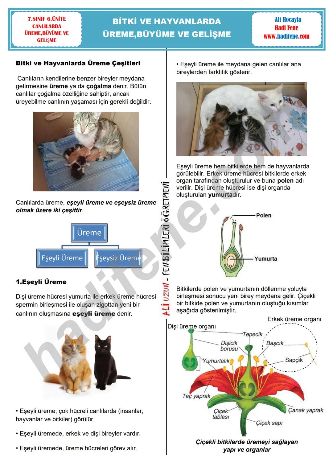 7.SINIF 1.ÜNİTE
GÜNEŞ SİSTEMİ VE ÖTESİ
UZAY ARAŞTIRMALARI
Ali Hocayla Hadi Fene
www.hadifene.com
UZAY TEKNOLOJİLERİ
Eski çağlardan günümüze